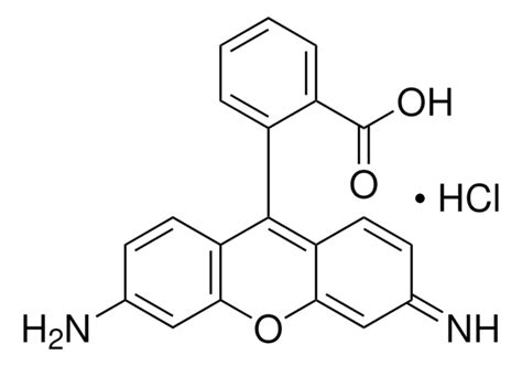 Rhodamine B For Fluorescence 81 88 9