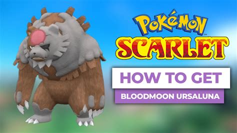 How To Get Bloodmoon Ursaluna In Pokemon Scarlet Violet The Teal Mask