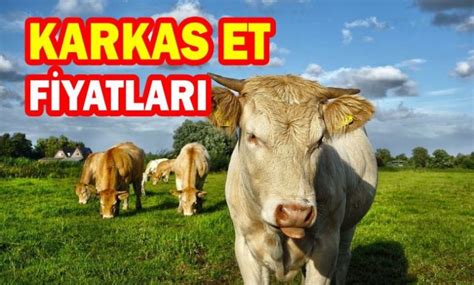 Karkas Et Borsas Ve G Ncel Kesim Fiyatlar