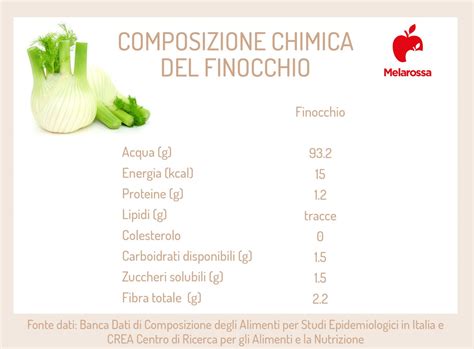 Finocchio Benefici Propriet E Usi In Cucina Melarossa