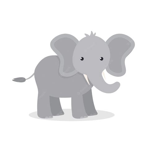 Super Cute Baby Boy Elephant Png Watercolor Baby Elephant Clip Art By