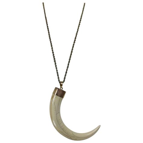 Wild Boars Tusk 14k Gold Mounted Necklace 1950s At 1stdibs Wild Boar