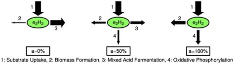 electron distribution  distribution  electrons originating