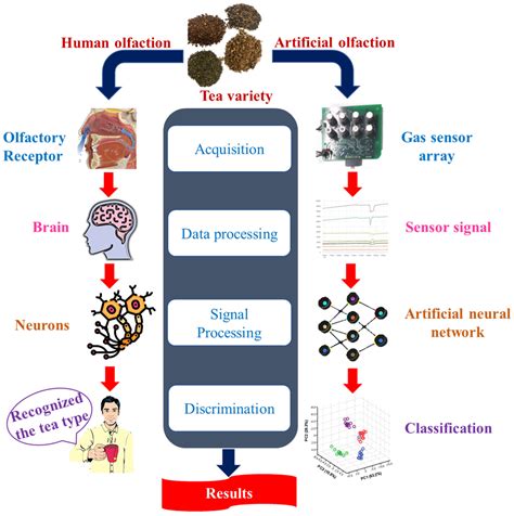 Agriculture Free Full Text Applications Of Electronic Nose Coupled