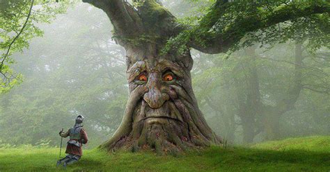 Must Play Tree Wise Mystical Tree If You Re Over 25 And Own A