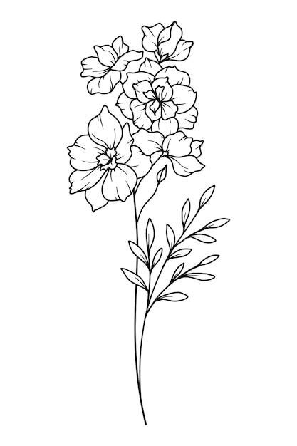 Premium Vector Larkspur Line Art Delphinium Flower Illustration July Birth Month Flower