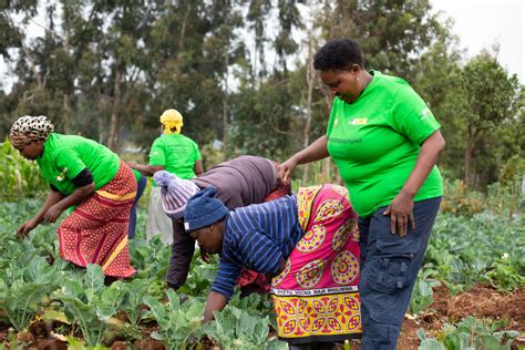 Beneficiaries Women Enterprise Fund Kenya