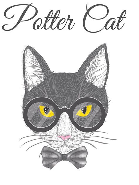 Potter Cats Harry Pawter Classic T Shirt Wcdlg Digital Art By Hoan Hoai