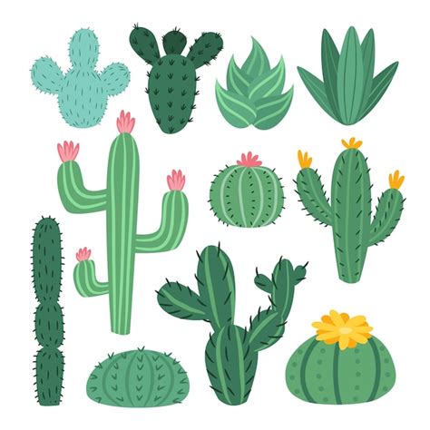 Conjunto vectorial de lindos cactus aloe y hojas colección de plantas