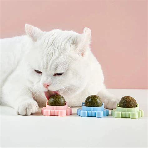 Catnip Toys. Spice Up Your Cat’s Playtime and Snack… | by Pooja mehar ...