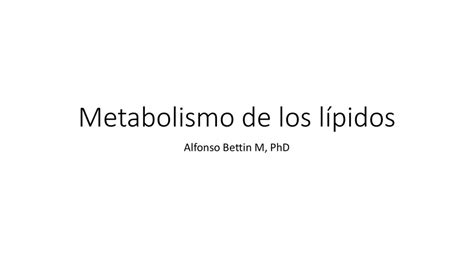 Metabolismo de los Lípidos Andrea uDocz