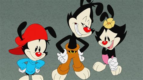 How The Animaniacs And Pinky And The Brain Casts Feel About Their