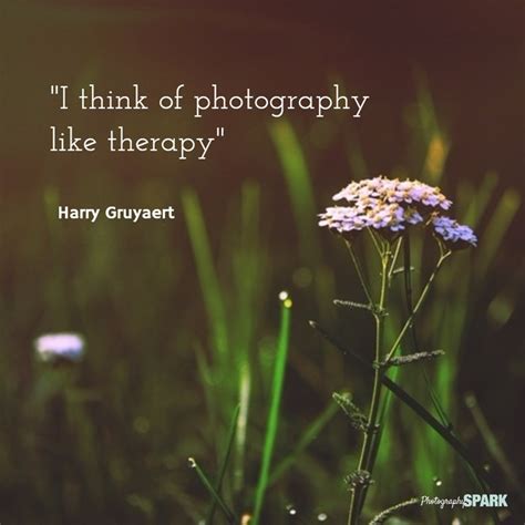 23 Most Famous & Inspirational Photography Quotes