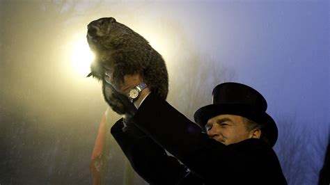 Punxsutawney Phil: incompetent — or evil? - Vox