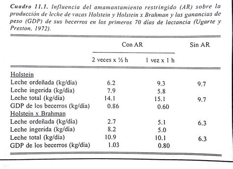 Alimentación del becerro en la Ganadería bovina