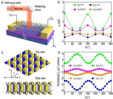 Polarization Sensitive Photore IMAGE EurekAlert Science News Releases