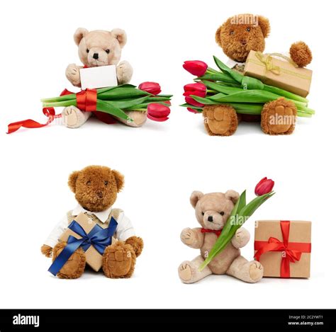 Set Of Beige And Brown Teddy Bears Sitting On An Isolated White