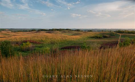 Glacial Moraine And Prairie Grasses Mn 17 232 Gl Gary Alan Nelson