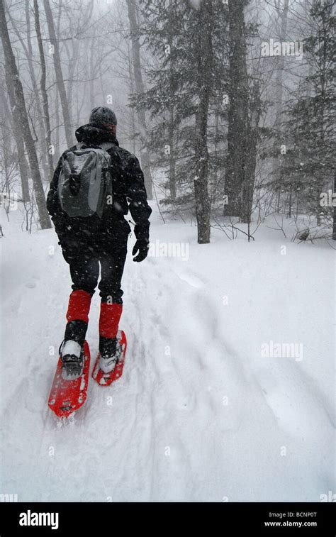 Hike Through Blizzard