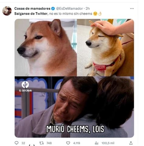 As Despide Twitter A Cheems La Famosa Perrita De Los Memes Cactus