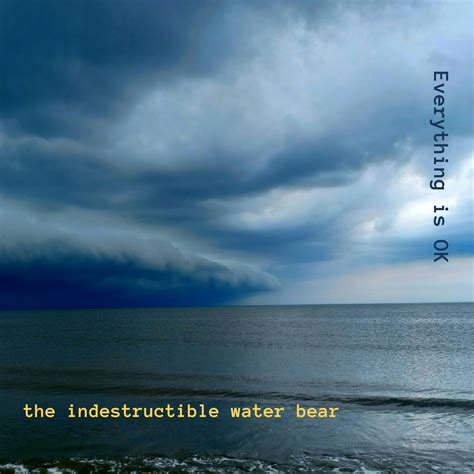The Indestructible Water Bear - Everything is OK (Superfluous Records