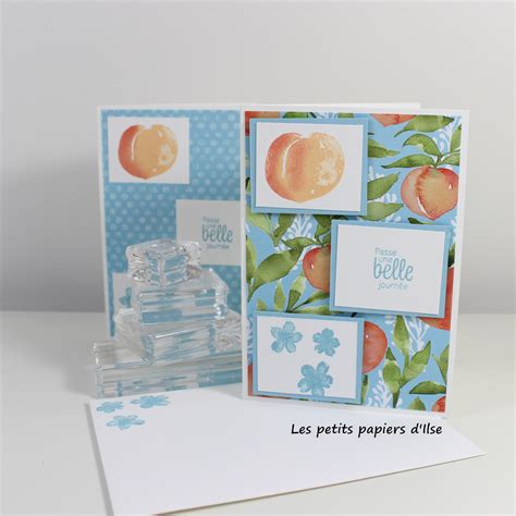 Carte Simple La Belle P Che En Tuto Vid O Les Petits Papiers D Ilse