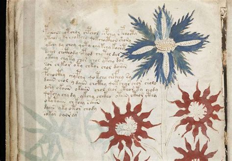 El Manuscrito Voynich uno de los libros más misteriosos de la historia