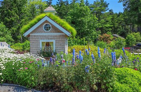 Grass Roof Shed Photograph By Lorraine Baum Pixels