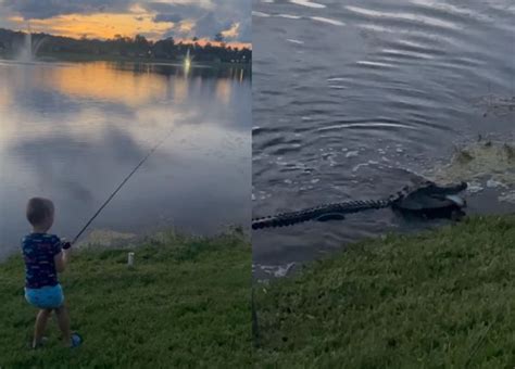 7歲童釣大魚「巨鱷瞬間衝出水中」 霸氣爭食釣竿一起搶走！ Ettoday寵物雲 Ettoday新聞雲