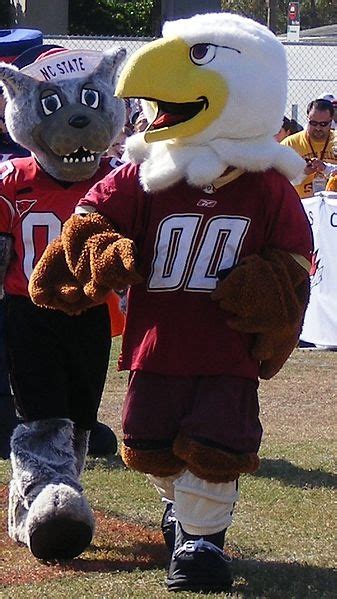 Baldwin the Eagle, mascot of the Boston College Eagles. (Behind him is ...