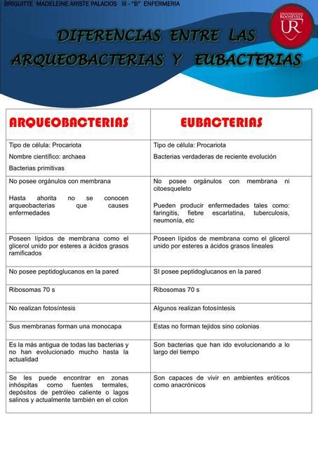 Diferencia Entre Eubacterias Y Arqueobacterias Explorando Sus Rainy