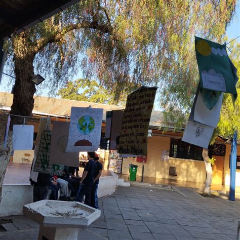 Semana Educación Artistica Hm9 Colegio Hernando De Magallanes