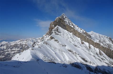 Rinderhorn Gesehen Vom Zackengrat Fotos Hikr Org