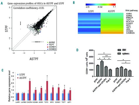 Angptl Regulates The Expansion And Repopulation Of Human Hematopoietic