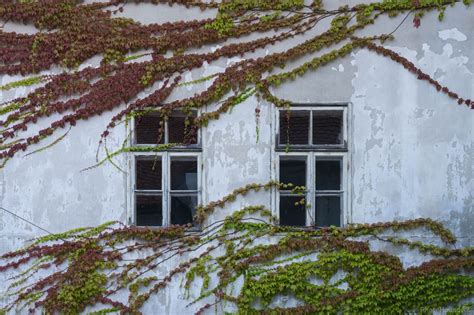 image  grad fuzine fuzine castle