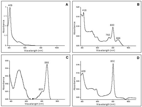 Absorption Spectrum Of A Strain Ml Soluble Fraction B Ml Purified