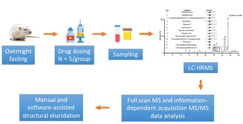 Metabolite Profiling And Identification Creative Bioarray