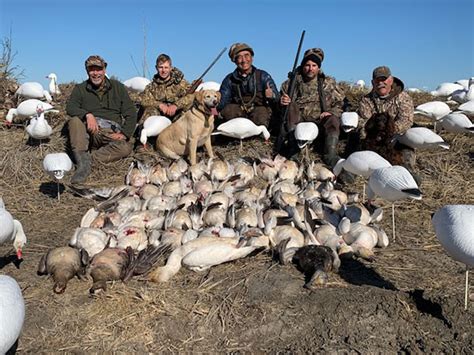 ko outdoors northern california goose hunting guides  waterfowl