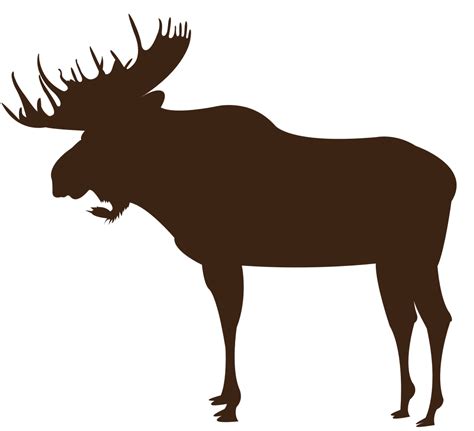 Moose 36667342 Vector Art At Vecteezy