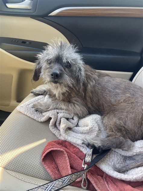 Arlington Park &... - Arlington Park & Aquatic Complex