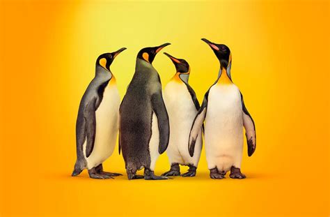 CVE-2024-3094: un código malicioso en las distribuciones de Linux ...