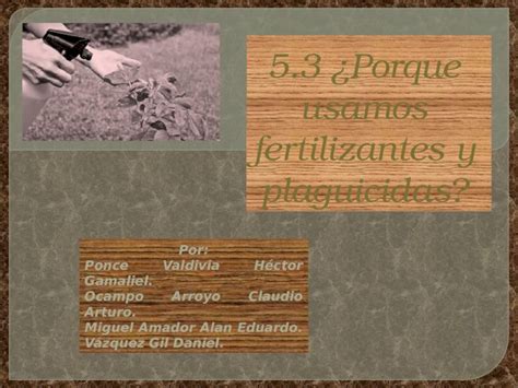 PPTX Proyecto Final Fertilizantes Y Plaguicidas DOKUMEN TIPS