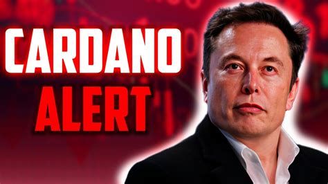 ELON MUSK CARDANO ALERT WILL BE CRASHED ON THIS EXACT DATE ADA