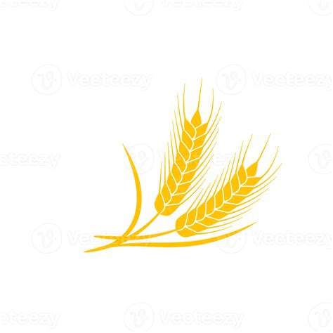 Ears Of Wheat Whole Grains For Making Bread 14612279 PNG