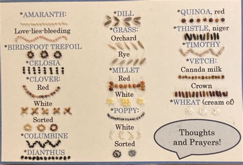 Laura Melnick Thoughts And Prayers Seed Card