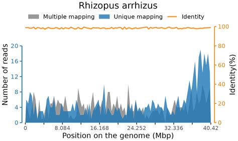 Frontiers Rhino Orbital Cerebral Mucormycosis Caused By Rhizopus