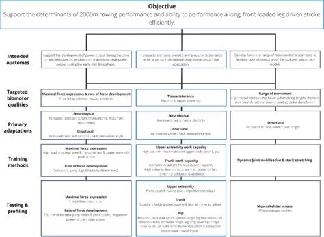 A schematic representation of the strength and conditioning technical ...