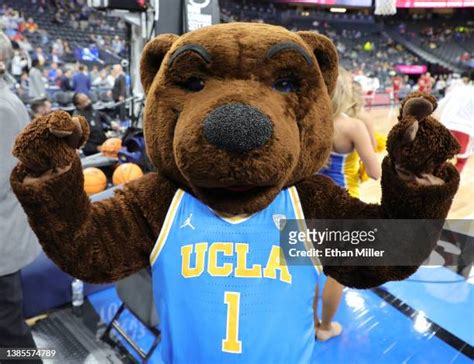 Ucla Bruins Mascot Photos And Premium High Res Pictures Getty Images