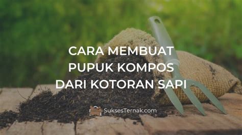 Cara Membuat Pupuk Kompos Dari Kotoran Sapi Yang Berkualitas