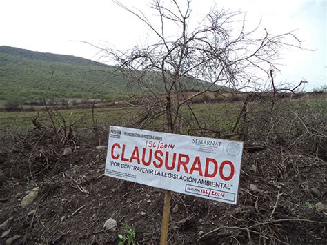 Profepa Clausura Proyecto De Parque Industrial Por Da Os A Terrenos